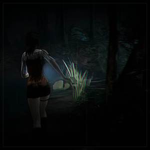 Lost