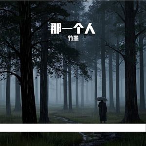 经纬线以北的星光