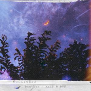 Panther (feat. DVNT)