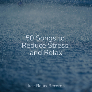 Journey through Faerie Glen