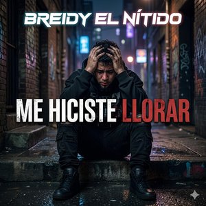 Me hiciste llorar