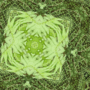 Neurons align with each cycle