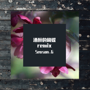 崔伟立-酒醉的蝴蝶remix（Season_G remix）