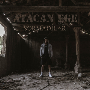 Sormadılar