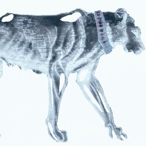 太空漂浮坠落星空