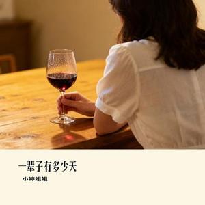 一辈子有多少天 (Cover 大头针 Official)