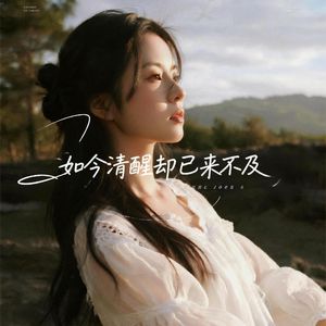 如今清醒却已来不及（原版）