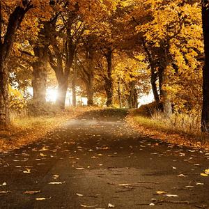 缠绵游戏-剪辑版