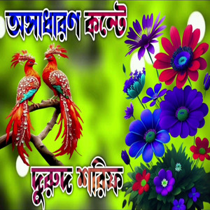 দুরুদ শরিফ ইয়া রাছুল আল্লাহ ইয়া হাবিব আল্লাহ