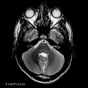 Lophius