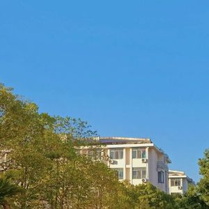 达芬奇的风铃（孤独版）