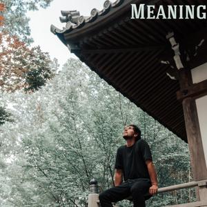 Meaning