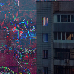 They are not your friends