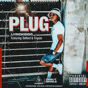 Plug