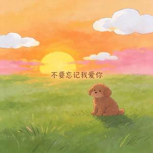 不要忘记我爱你（R&B）