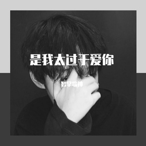 是我太过于爱你 (正式版)