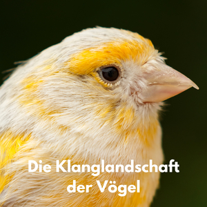 Die Klanglandschaft der Vögel