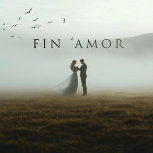 Valse fin 'amor