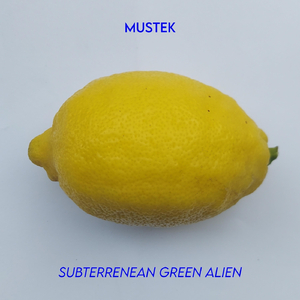 Subterrenean Green Alien