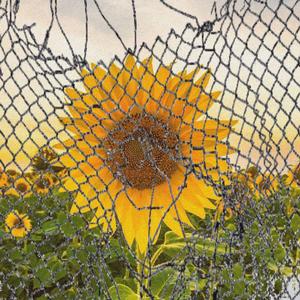 梦牢监狱长（Prod By elijah who）