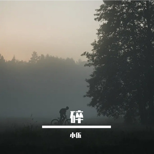 岁月中永不褪色的爱