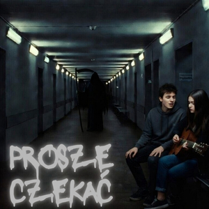 Prosze czekać