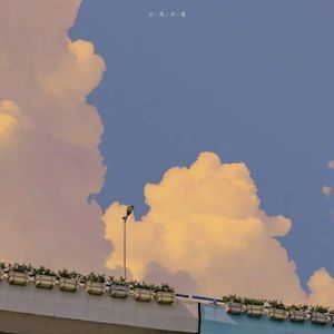 只对你有感觉（西罕）