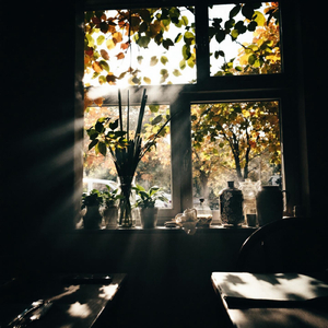 静寂のメロディー