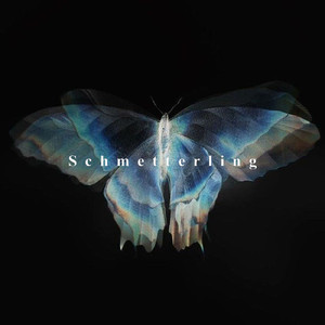 Schmetterling