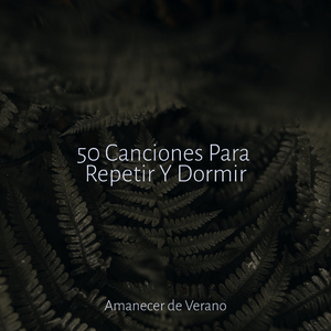 Silencioso Viaje a Través de la Oscuridad