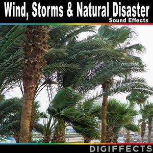 Thunder with Lightning Strike Version 3