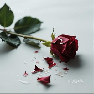 折断玫瑰（完整版）