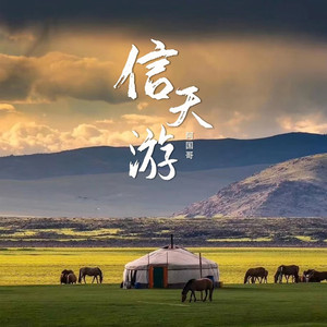 信天游（大雁听过我的歌） (DJ版)