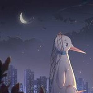 袭人-从来从来过你（袭人 remix）