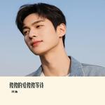 傻傻的爱傻傻等待 (Cover 贺一航) - 沉鱼 专辑封面