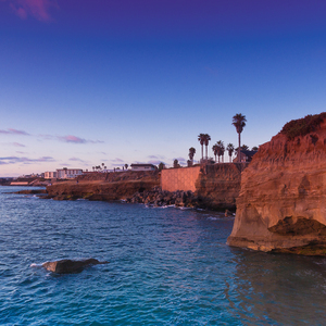 人最傻的行为就是急着要结果