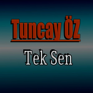 Tek Sen