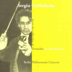Cello Concerto in B Minor, Op. 104, B. 191:III. Finale: Allegro moderato