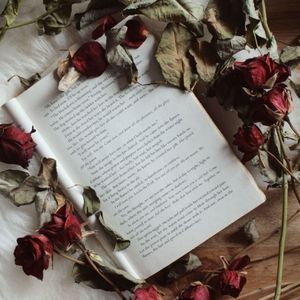 偶尔也要看看太阳