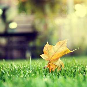 那年十六（翻自 品冠）