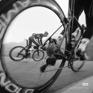 《无主之境的空灵回响》