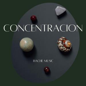 CONCENTRACION