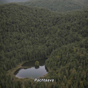 Pachtaava