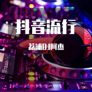 王菲 - 传奇（荔浦DJ阿杰Mix 国语女）