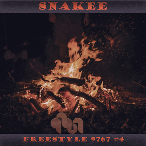 Freestyle 9767 #4