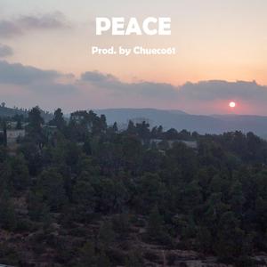 Peace (feat. SHAYA)