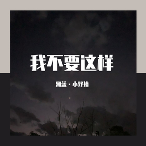 我不要这样