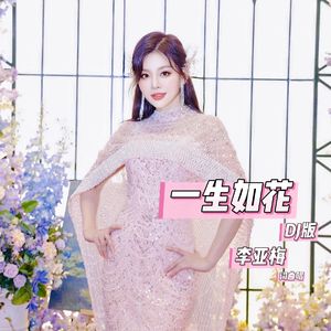 一生如花 DJ版