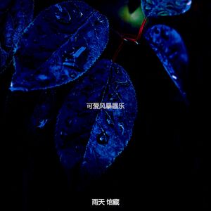 温和雷暴梦想