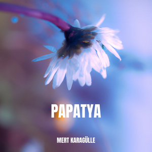 Papatya